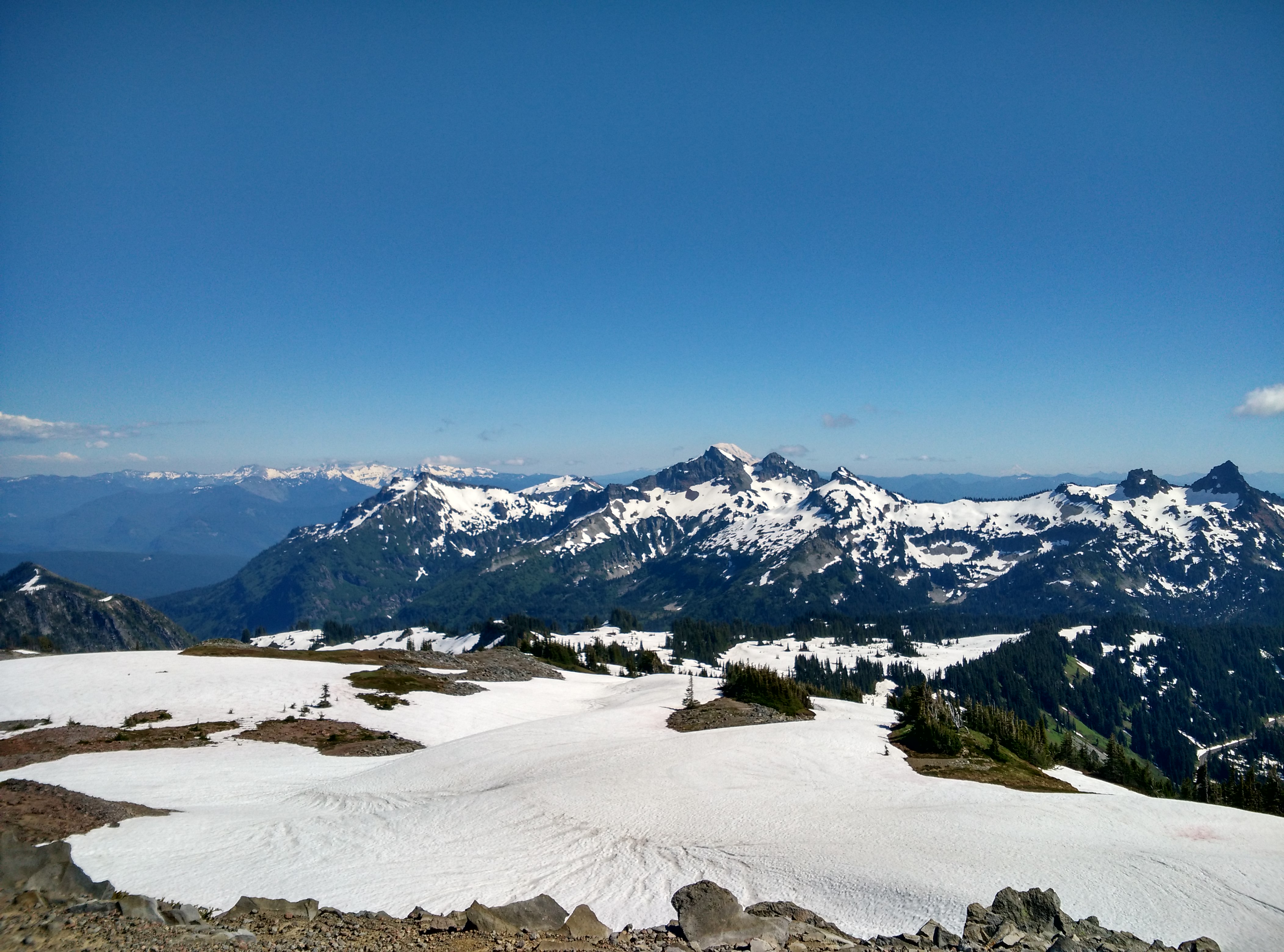 雷尼尔山国家公园