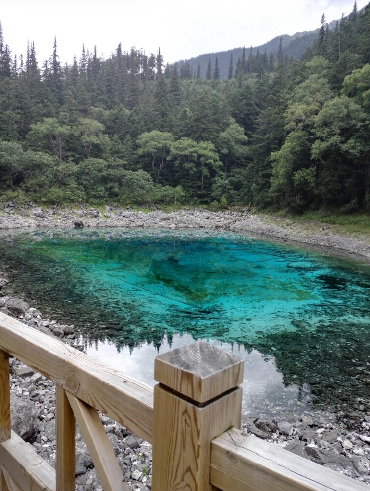 2019五彩池_旅遊攻略_門票_地址_遊記點評,九寨溝旅遊景點推薦 - 去