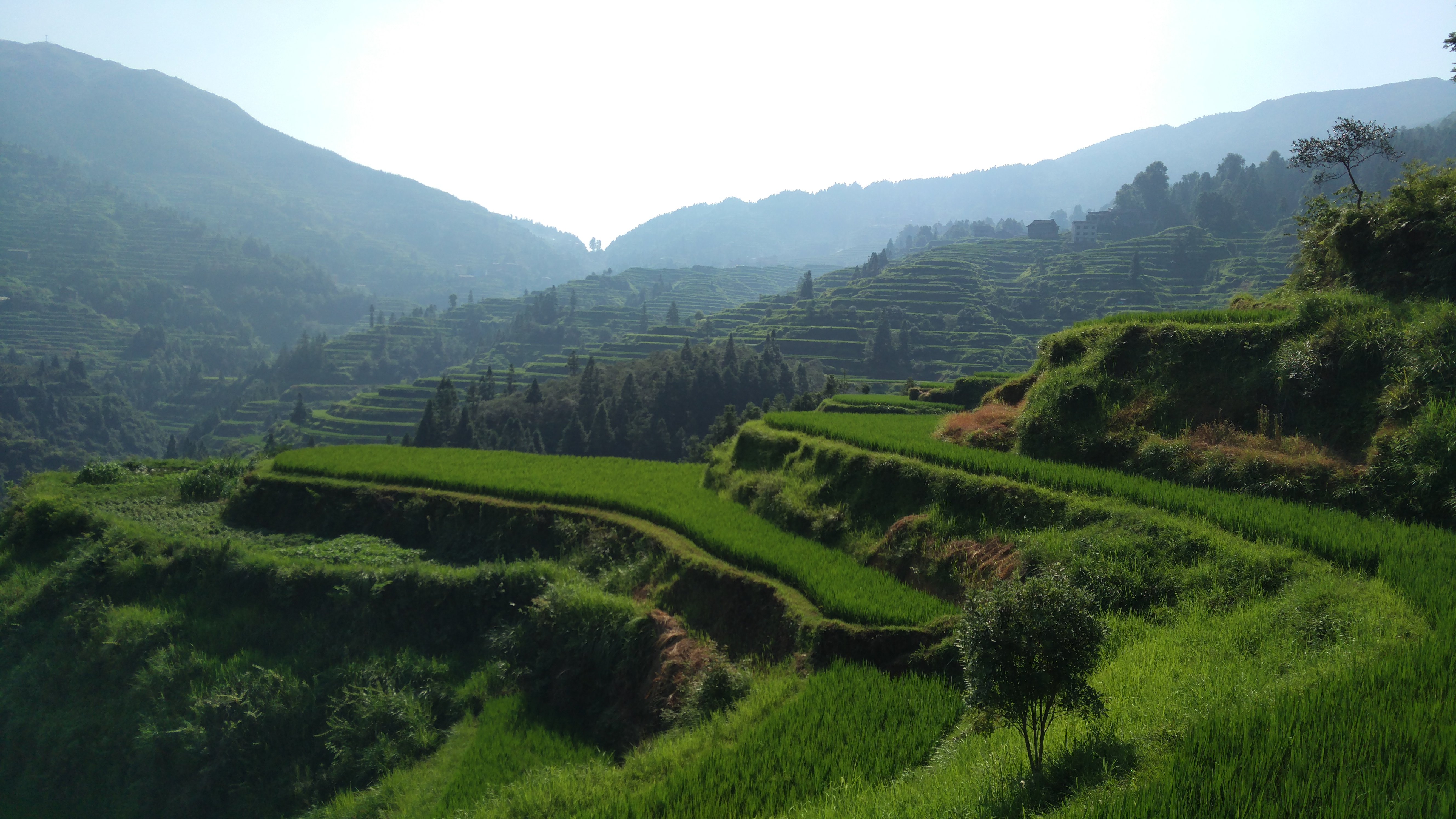 【携程攻略】黎平厦格上寨景点,经观察,梯田间的小路一般都是没有石板