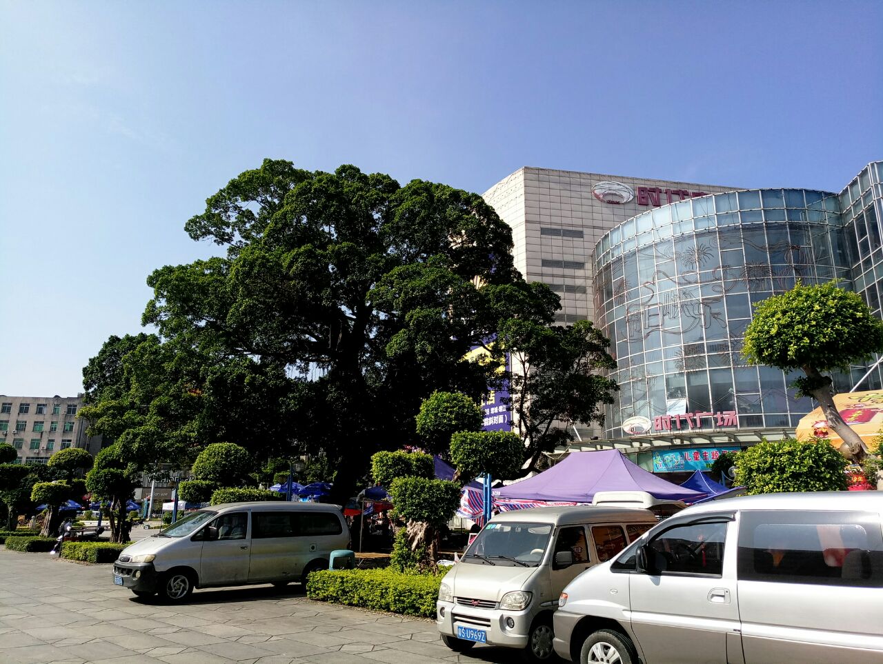 【携程攻略】增城区挂绿广场景点,因为有一棵非常大的千年荔枝树,所以