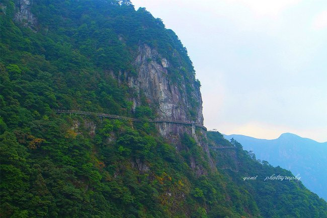 水边木栈道怎么搭_农村水边栈道景观