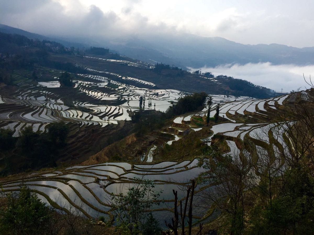 哈尼梯田景区图片