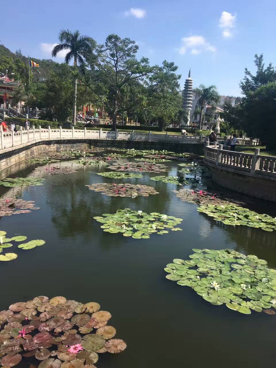 廈門南普陀寺 環島路 鼓浪嶼一日遊