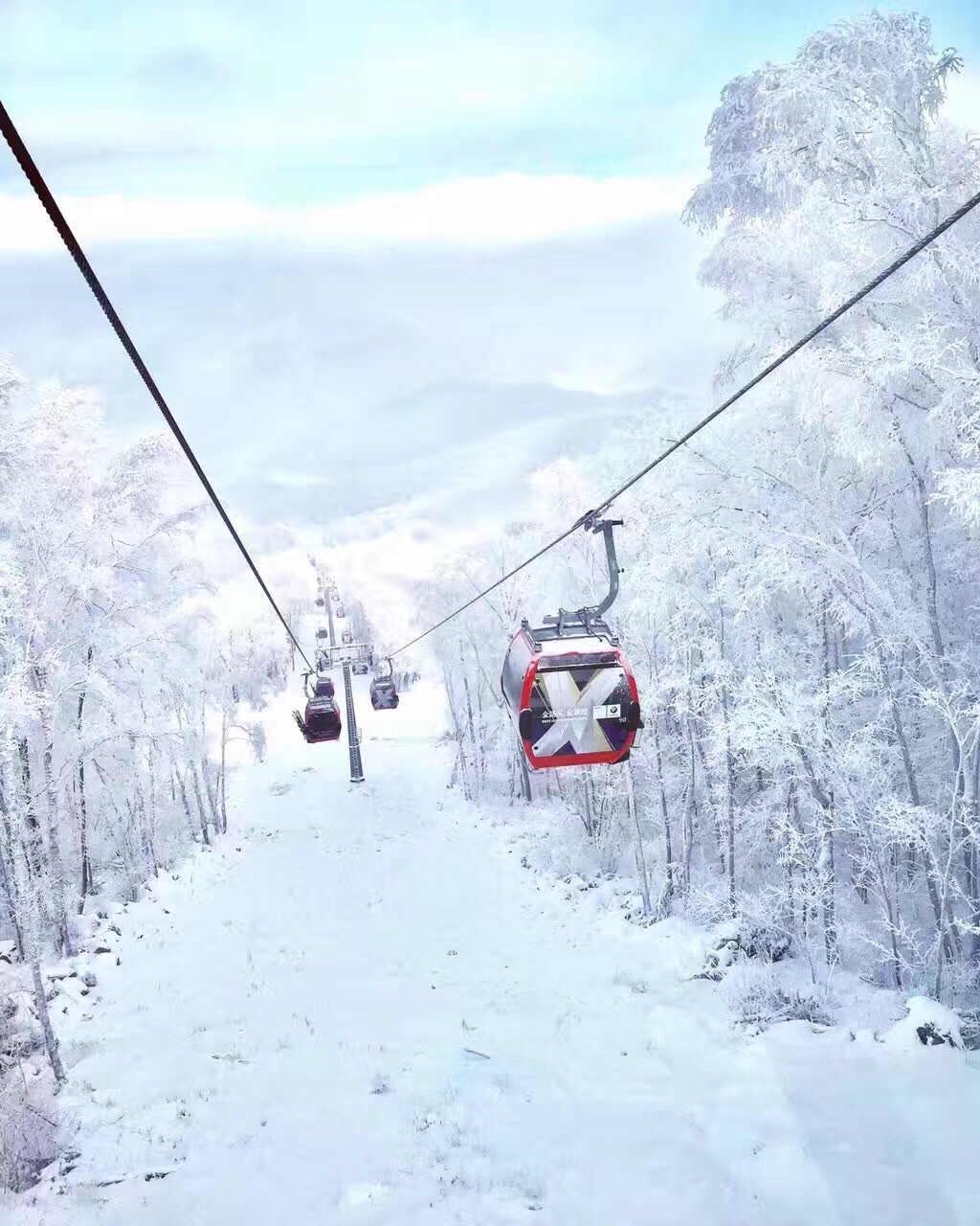 【携程攻略】吉林市松花湖滑雪场景点,万科滑雪场是吉林省一个很不错的滑雪场！山很高，基础设施很完善，雪…