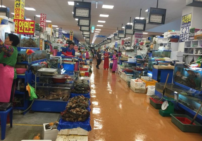 鹭梁津海鲜批发市场