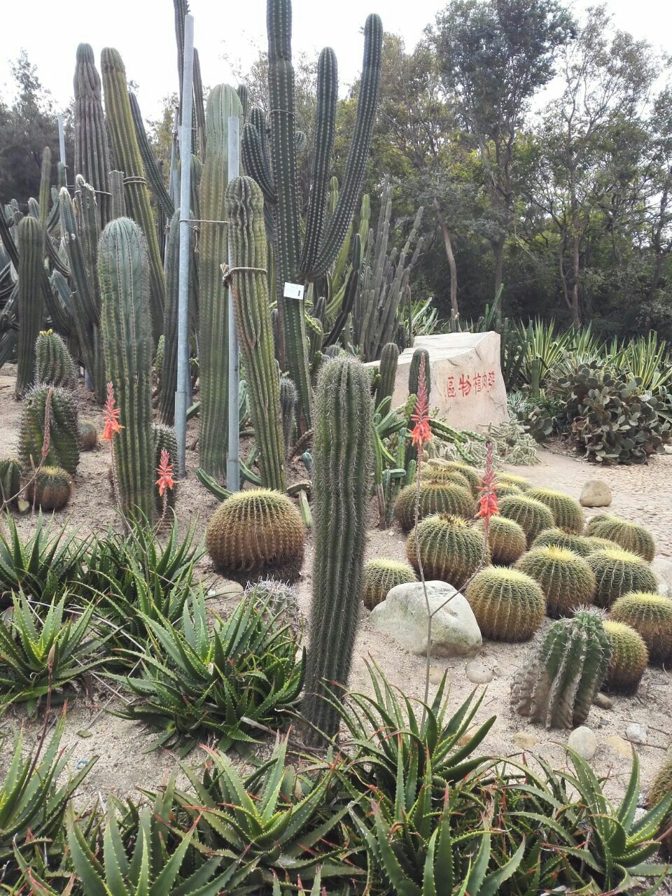 廈門園林植物園