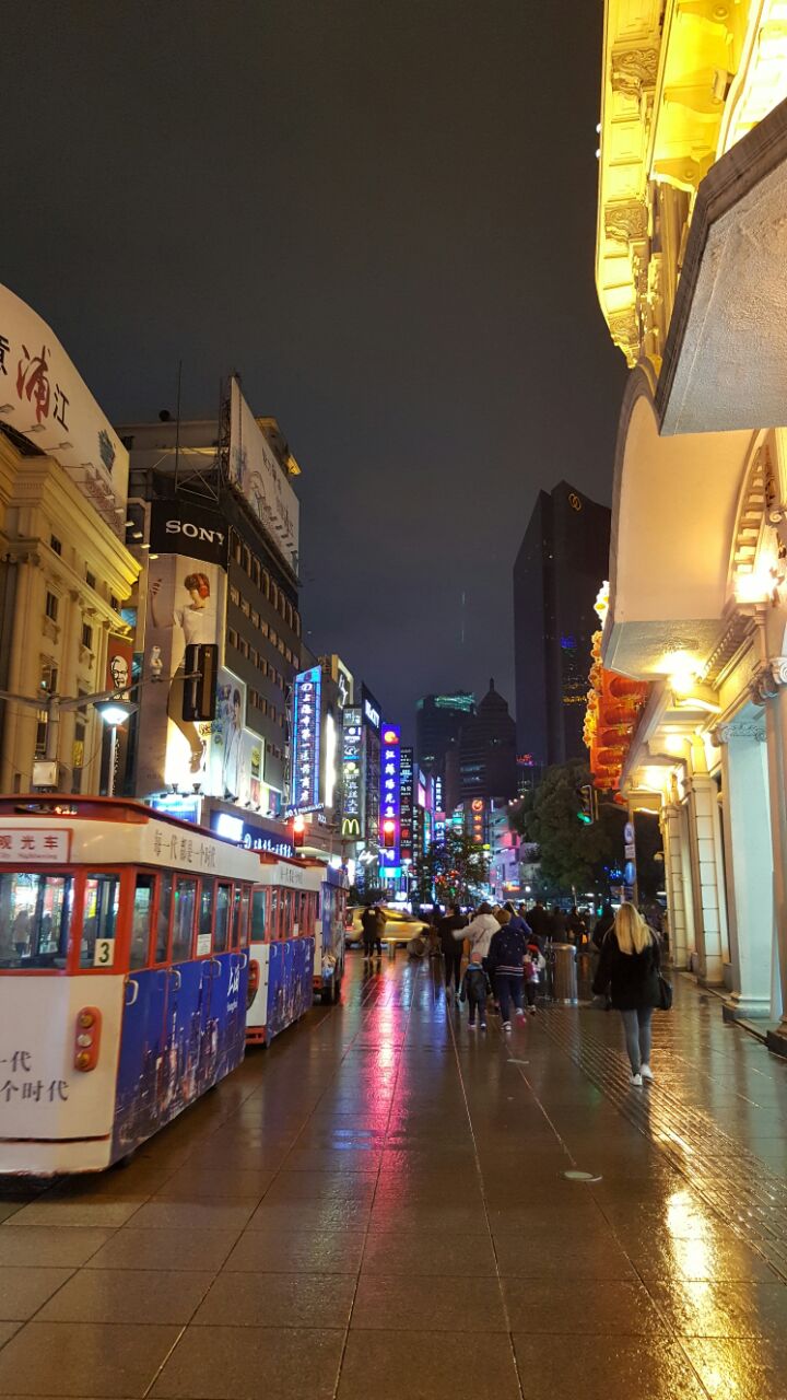 南京最美的街道图片