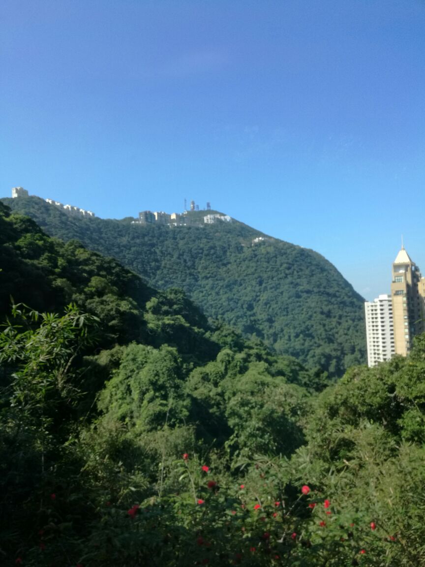 【携程攻略】香港太平山顶景点,香港旅游必去之景点,坐缆车到山顶