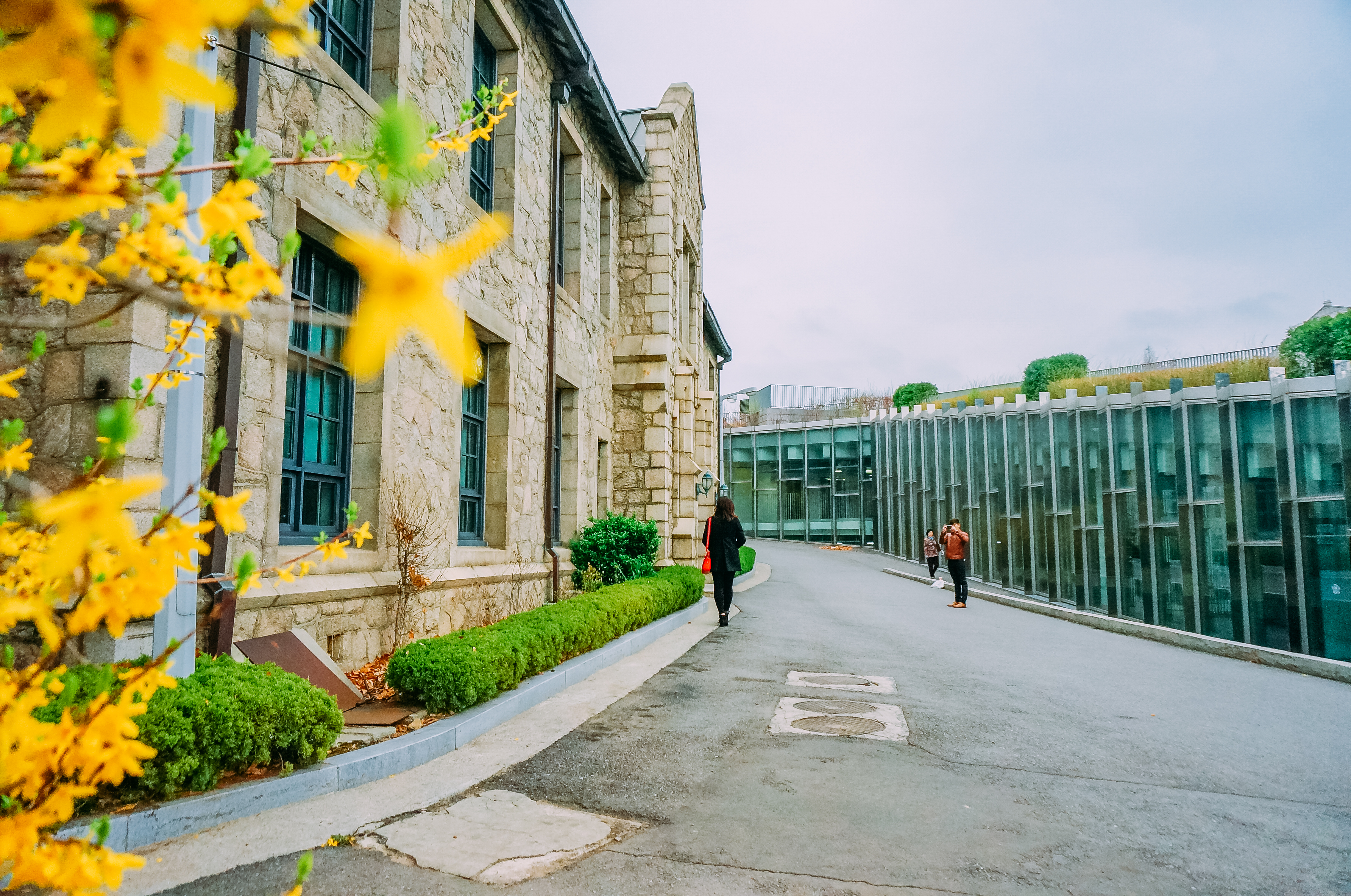 携程攻略 首尔梨花女子大学适合单独旅行旅游吗 梨花女子大学单独旅行景点推荐 点评