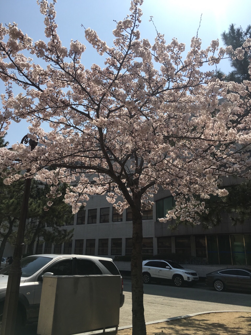 釜山釜庆大学图片