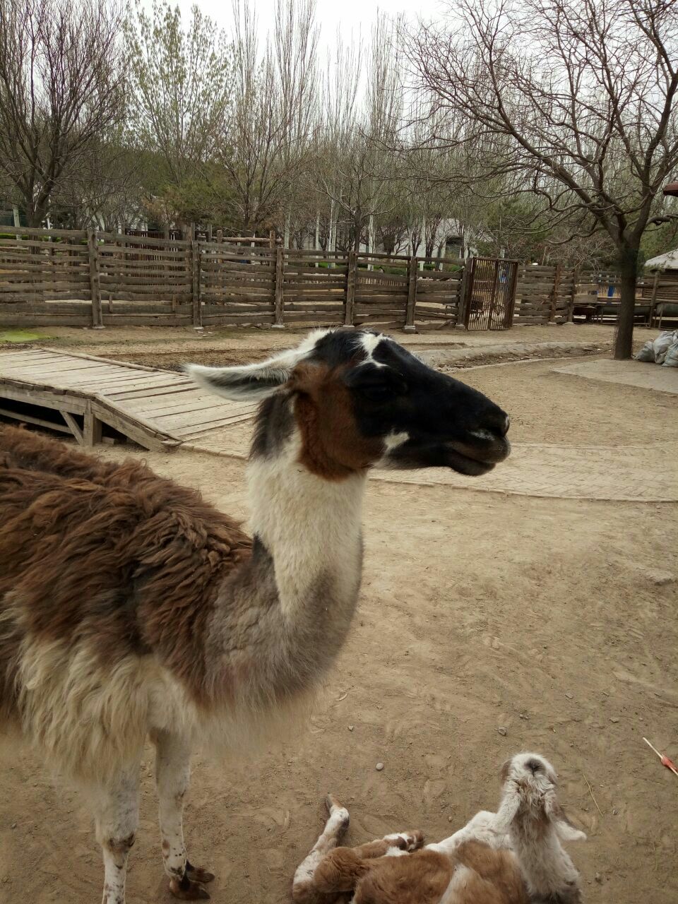 太原動物園