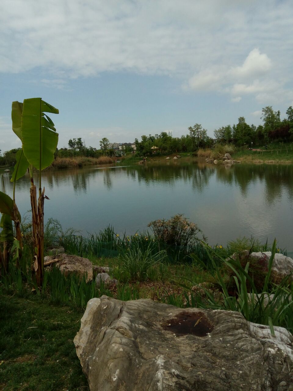 洛川西沟湿地公园图片