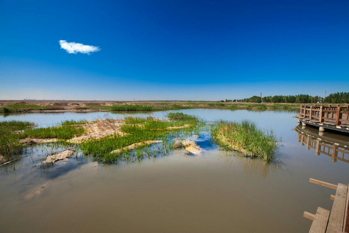 大庆龙凤湿地自然保护区，位于位于黑龙江省大庆市龙凤区境内东南