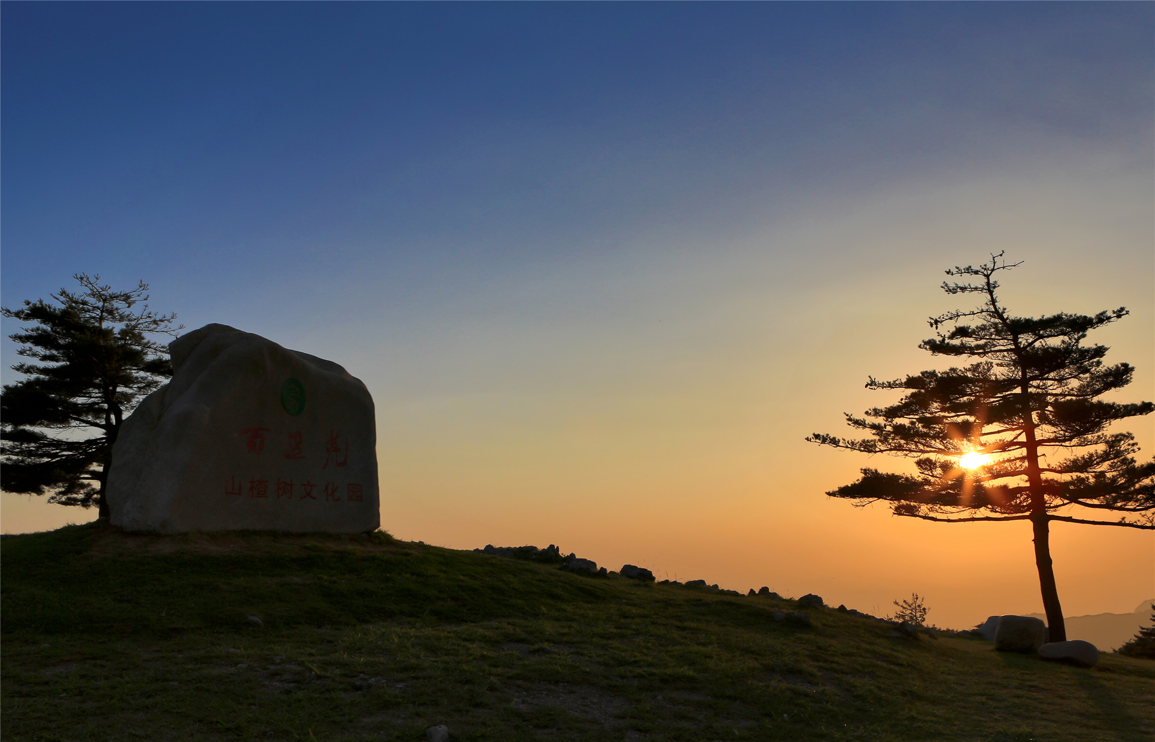 百里荒高山草原旅游区