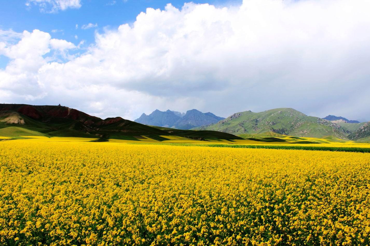 六月去哪里好玩呢,风景好