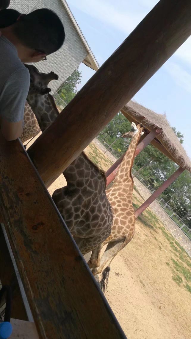 石家莊市動物園