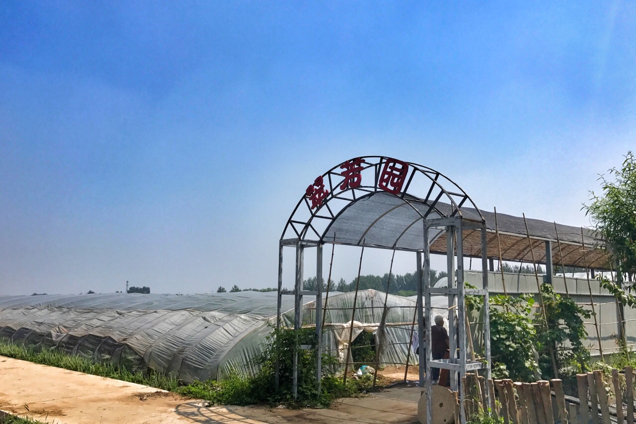 庞各庄翠芳园西瓜蔬菜基地采摘园