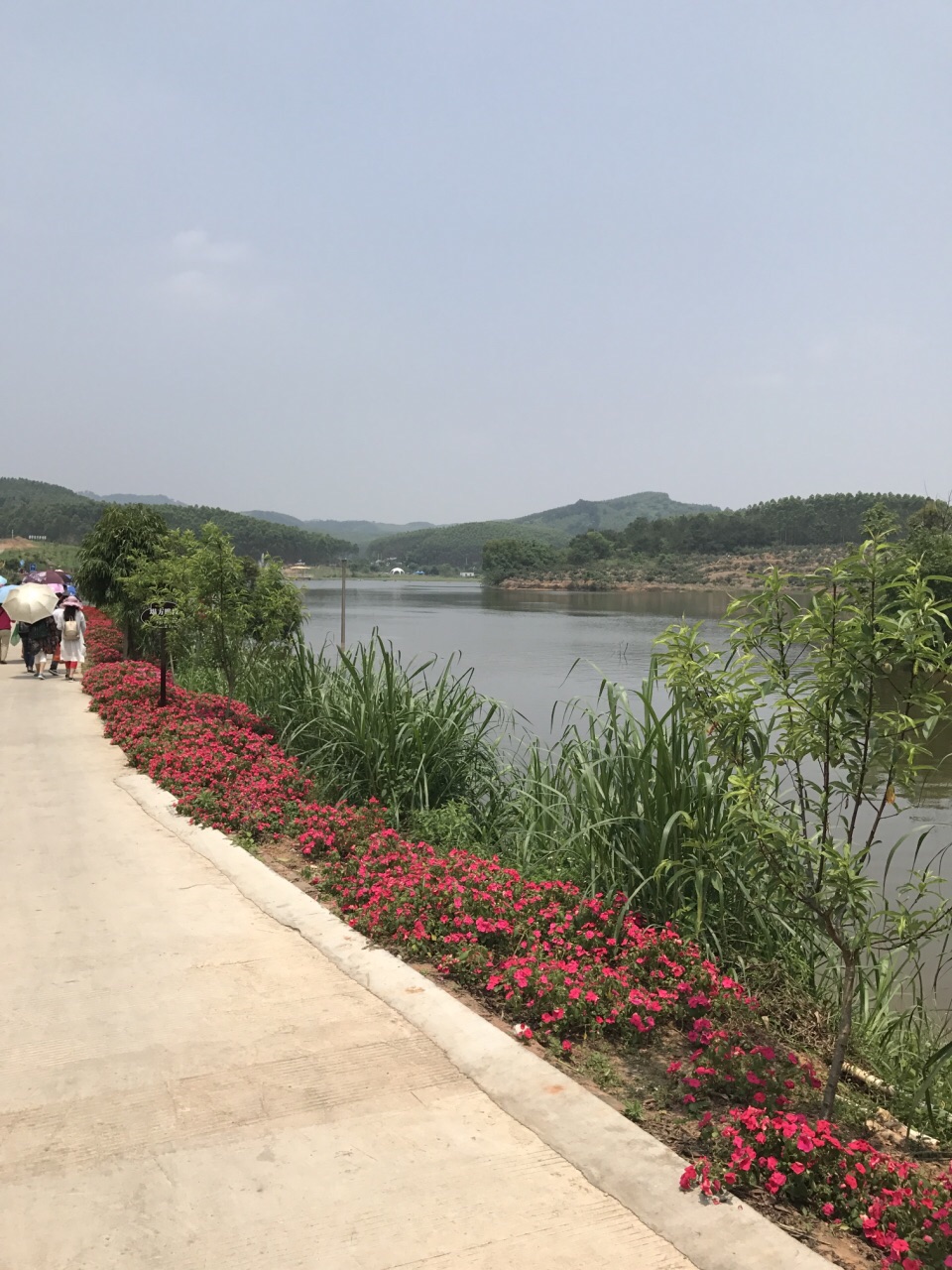 南宁花雨湖生态旅游区图片