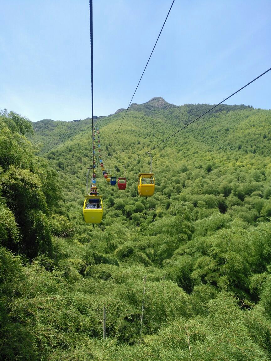 2019南山竹海_旅遊攻略_門票_地址_遊記點評,溧陽旅遊景點推薦 - 去