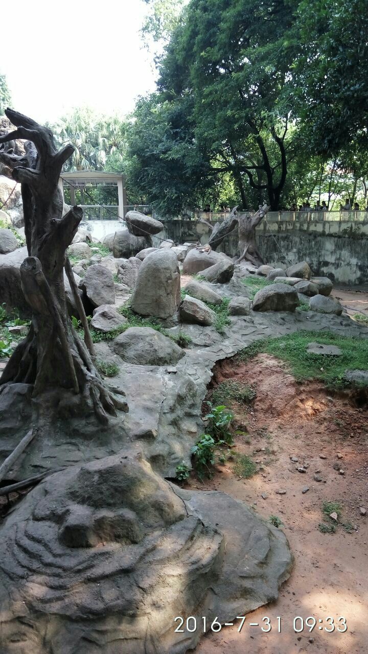 廣州動物園