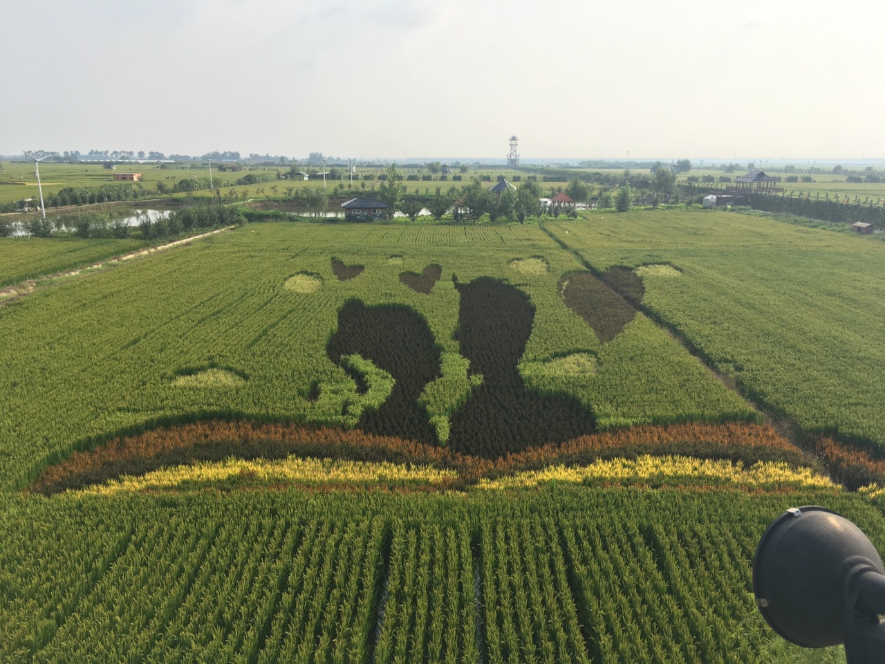 沈阳稻梦空间好玩吗,沈阳稻梦空间景点怎么样_点评_评价【携程攻略】