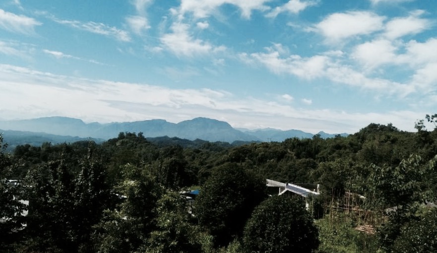 2019蒙頂山_旅遊攻略_門票_地址_遊記點評,雅安旅遊景點推薦 - 去哪兒