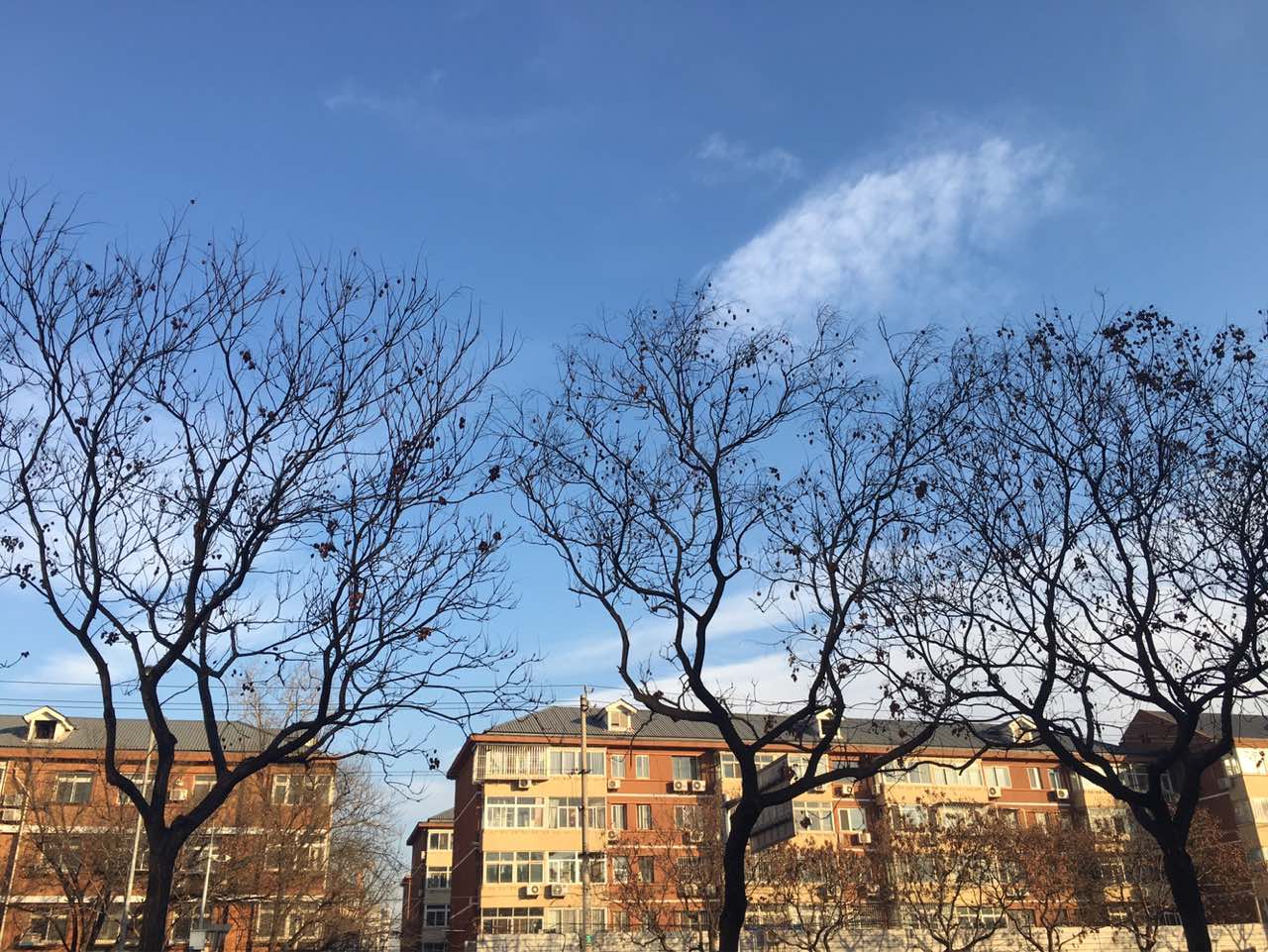 早上空氣好,天氣晴,寒冷的冬天起早上班的動力就是美味溫暖的早餐.