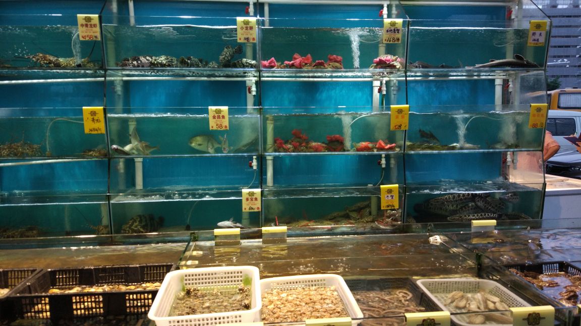 厦门南海渔村会展店图片