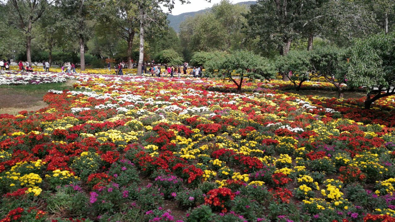 北京植物園旅遊景點攻略圖