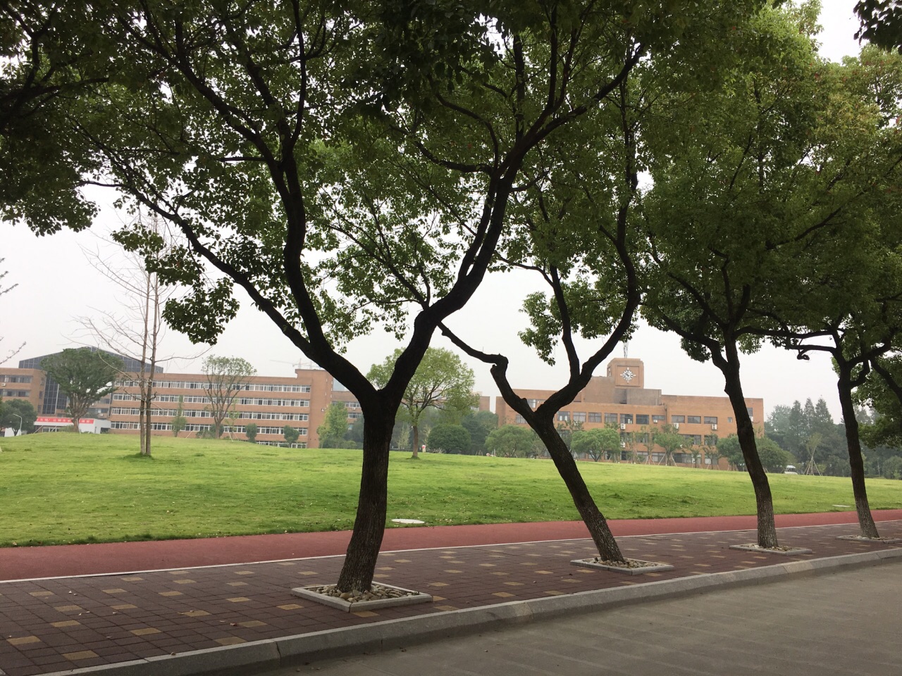 2023宁波大学游玩攻略,校园很大绿化很好很美,骑着.【去哪儿攻略】