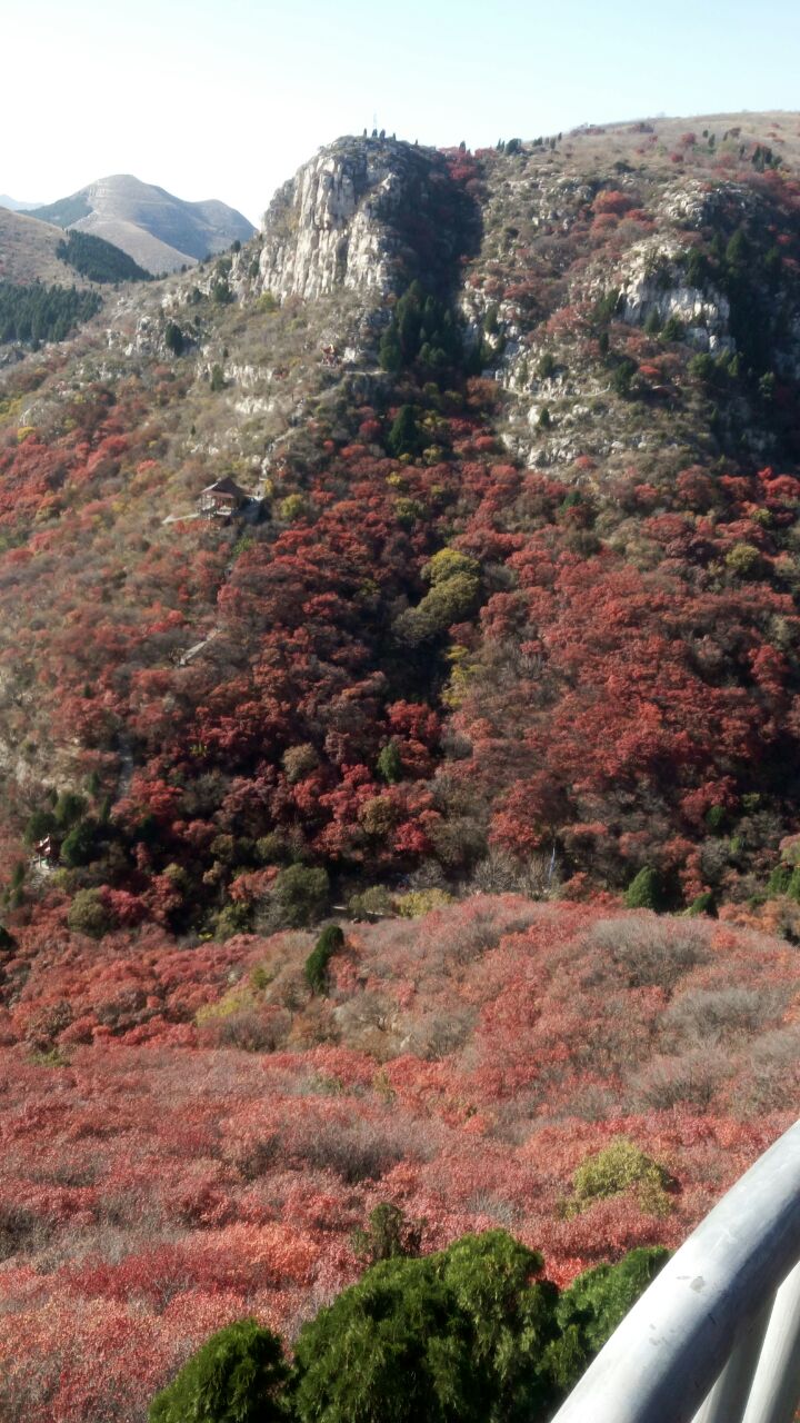 【攜程攻略】臨朐石門坊景點,總體來說還是不錯的,植被覆蓋率很高