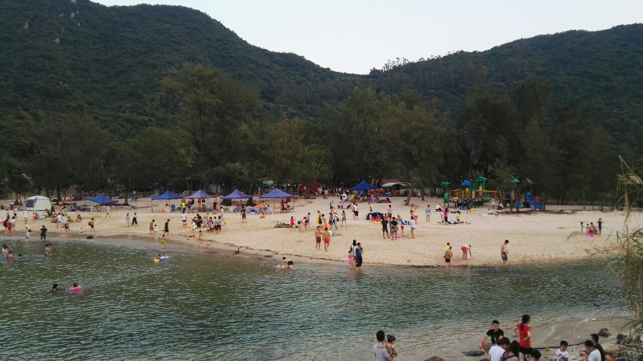 杨梅坑
