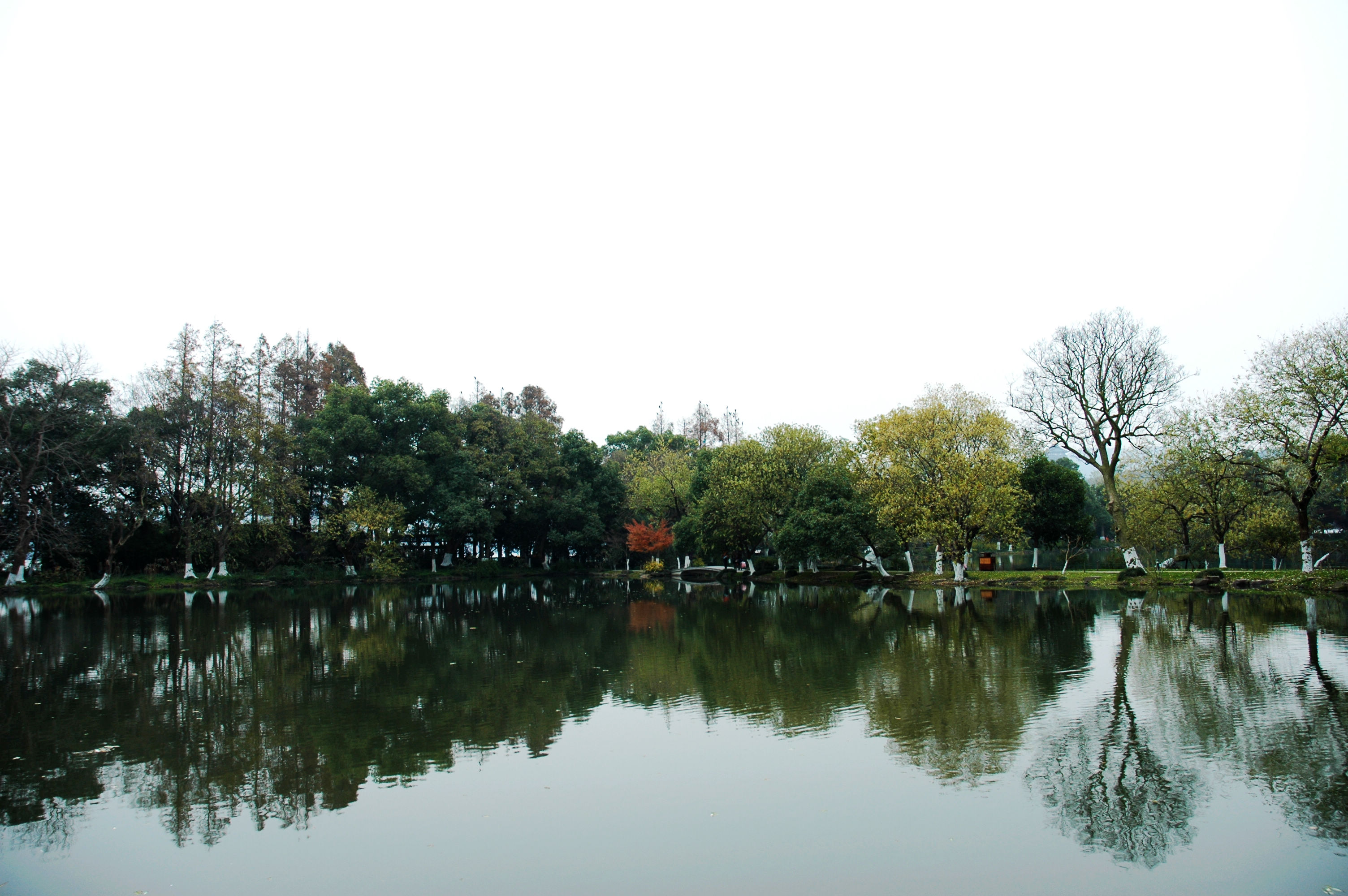 2023苏堤游玩攻略,在这里健身的人特别多,跑步.【去哪儿攻略】