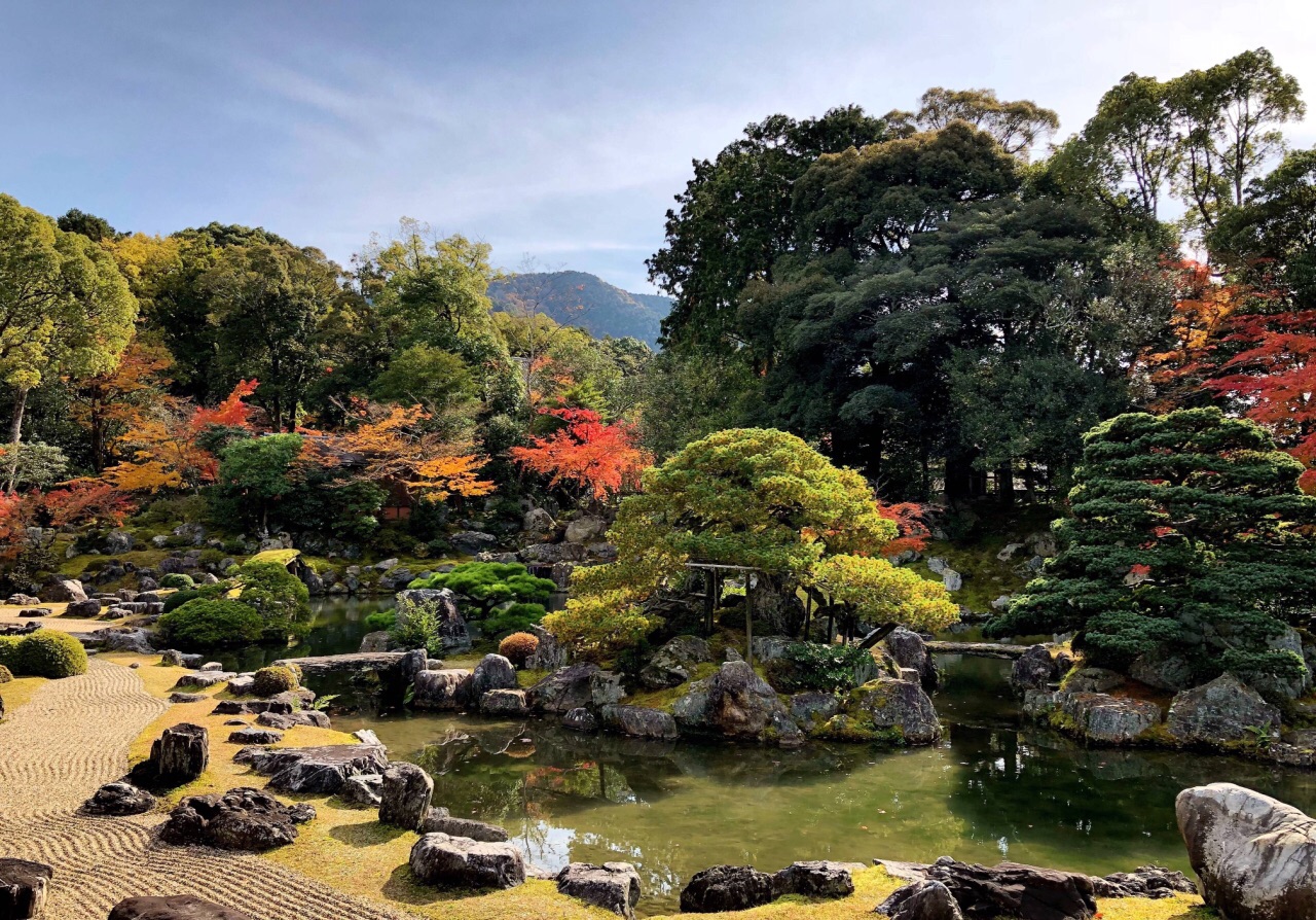 醍醐寺分为三大区域,入口处的三宝院,以为平平无奇,脱鞋进入表书院里