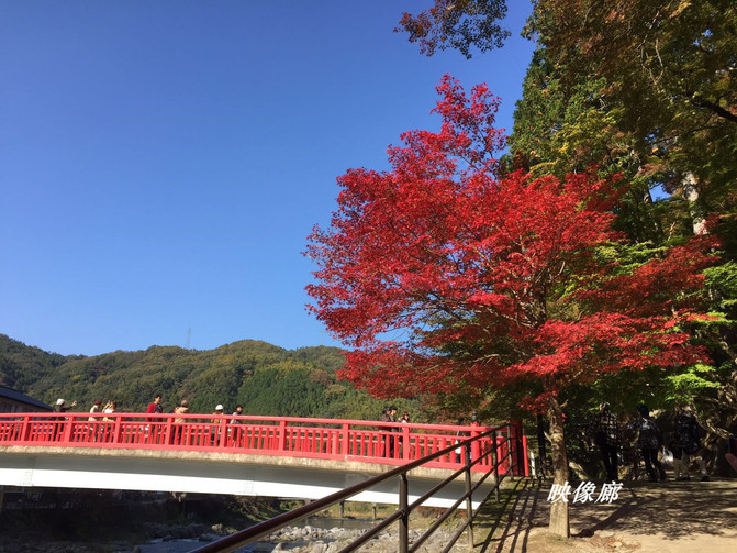 溪岚村人口_郑州星联岚溪府效果图