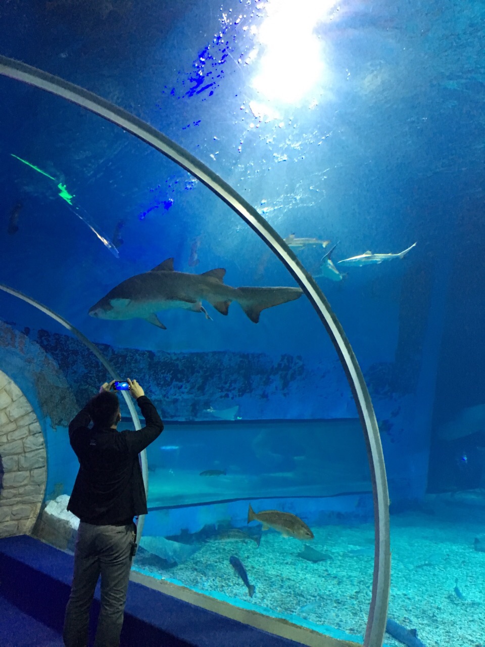 正佳极地海洋世界