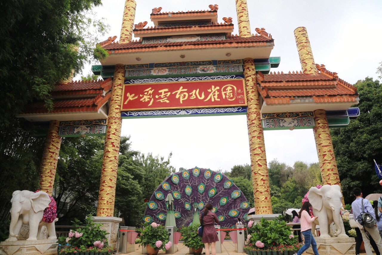 2018雲南民族大觀園_旅遊攻略_門票_地址_遊記點評,昆明旅遊景點推薦