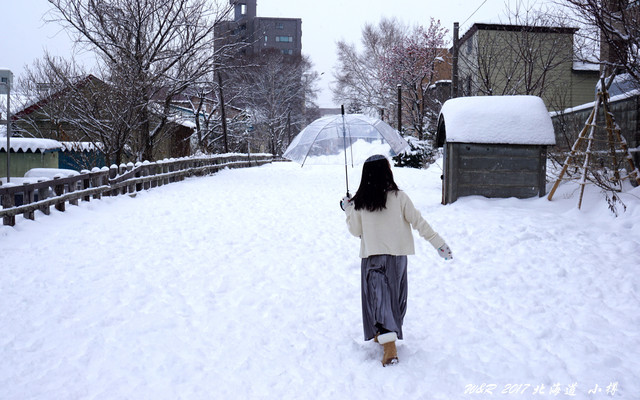 17年冬天 去北海道看雪 泡温泉 札幌 小樽 星野 登别 洞爷湖 小樽游记攻略 携程攻略