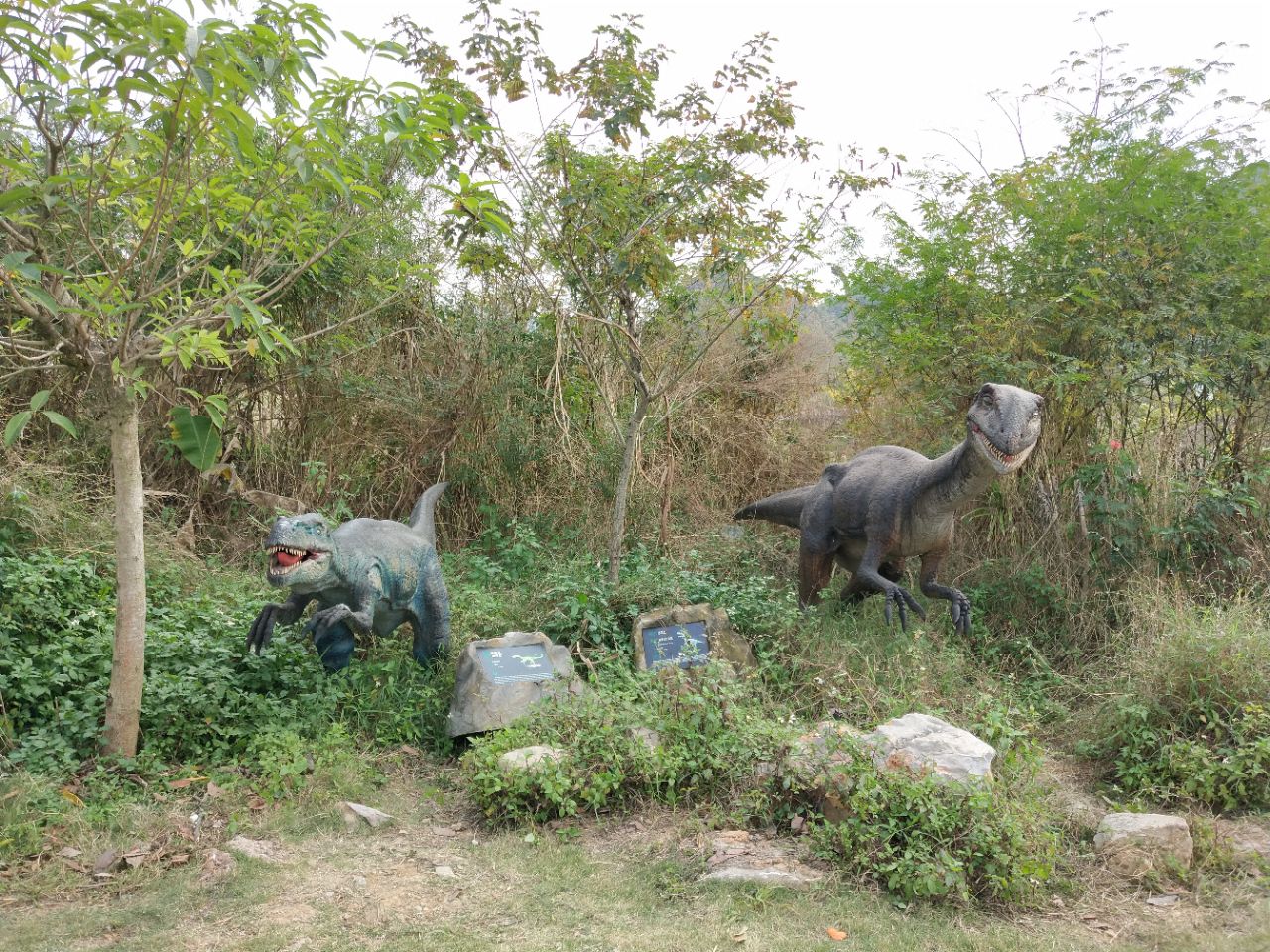 扶綏龍谷灣恐龍公園好玩嗎,扶綏龍谷灣恐龍公園景點怎麼樣_點評_評價