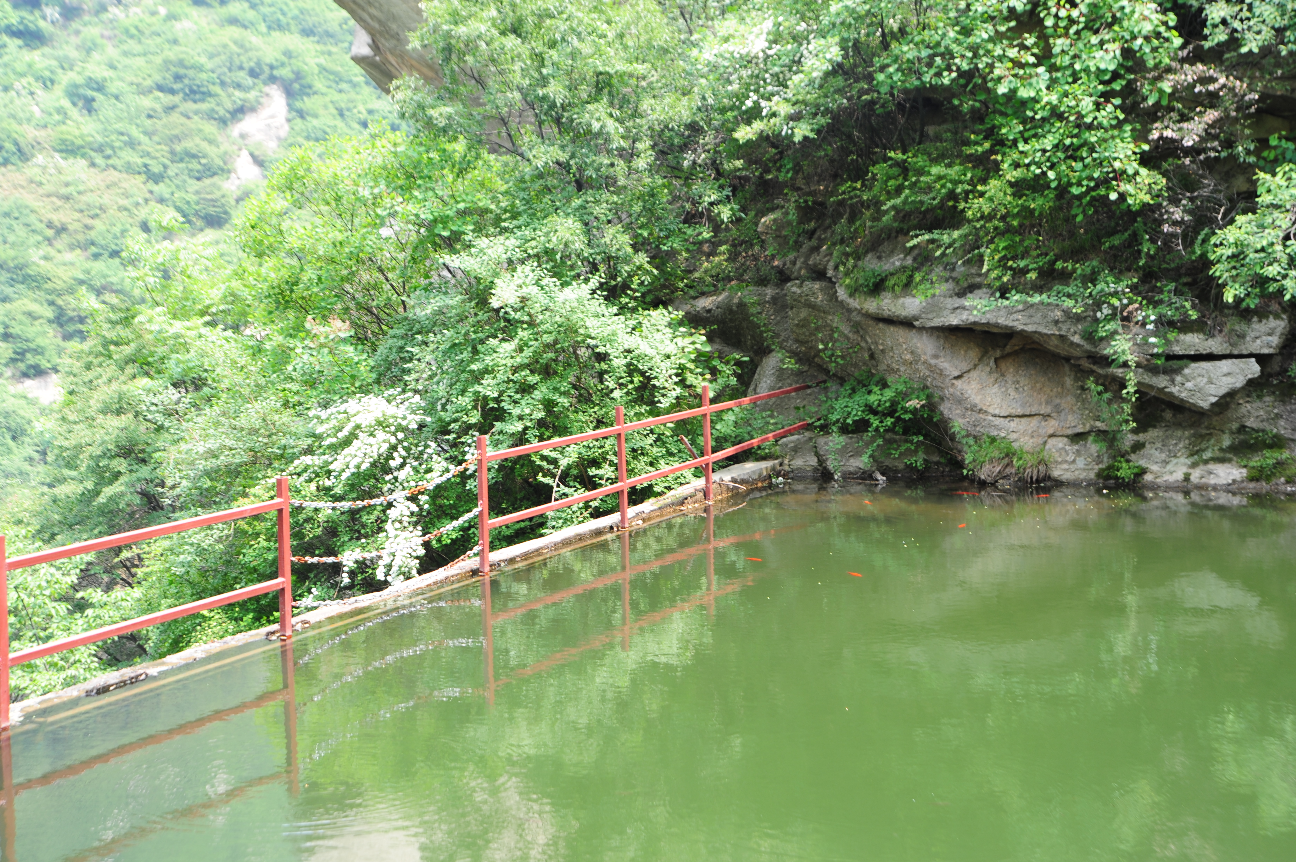 蓝田流峪飞峡一日游图片