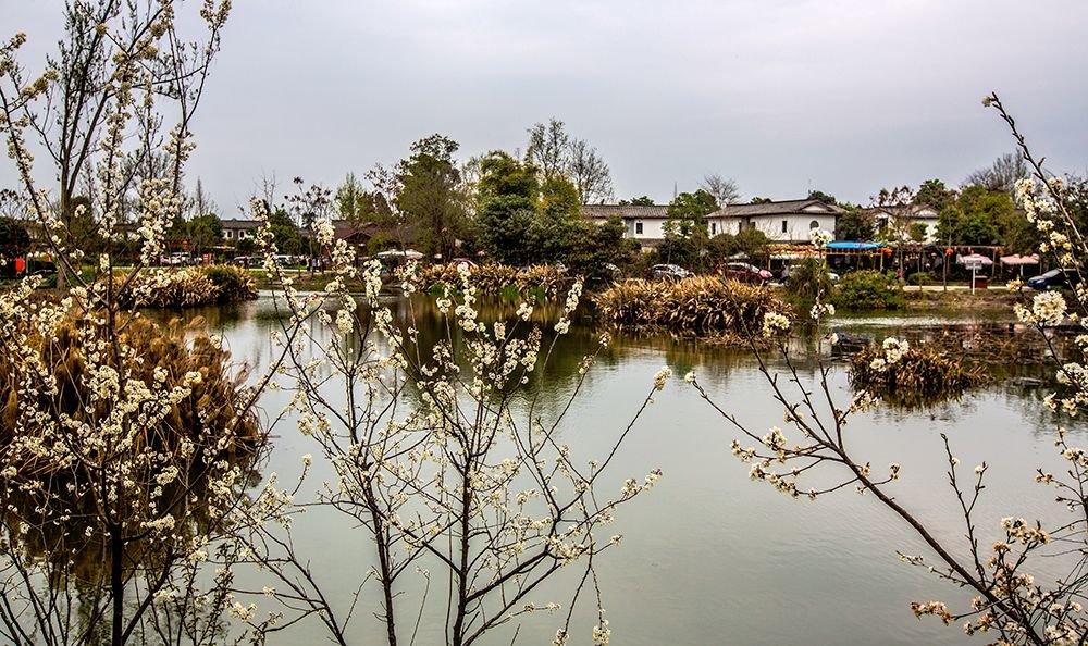 青槓樹景區旅遊景點攻略圖