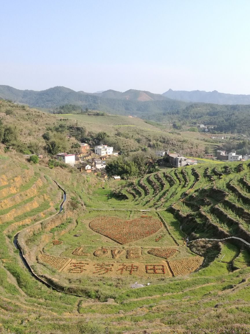 大埔坪山梯田旅游区好玩吗,大埔坪山梯田旅游区景点怎么样_点评_评价