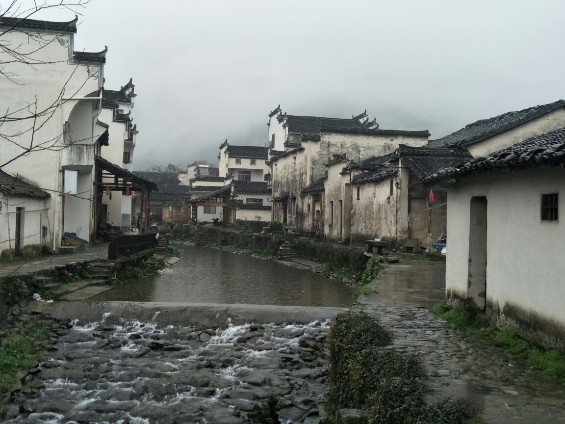 2019卢村_旅游攻略_门票_地址_游记点评,黟县旅游景