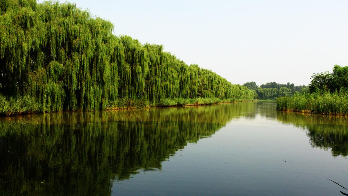 万州石桥水乡湿地公园图片