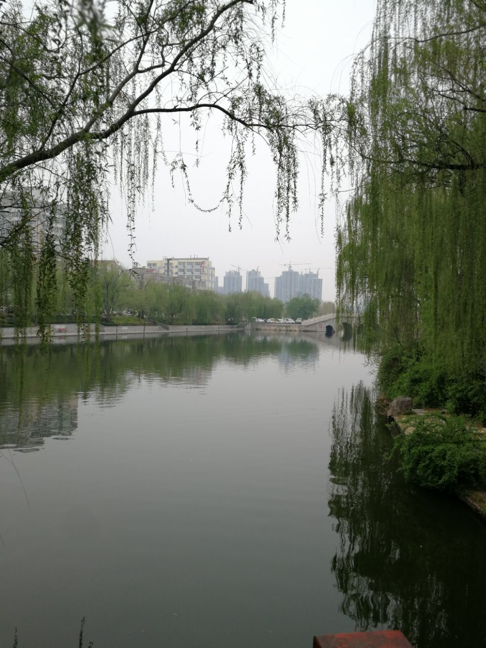 【攜程攻略】菏澤天香公園好玩嗎,菏澤天香公園景點怎麼樣_點評_評價