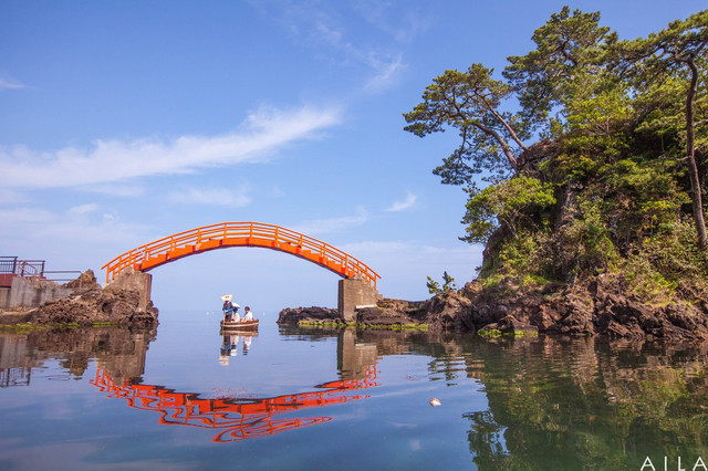 紫阳花开了 我们去日本吧 携程氢气球