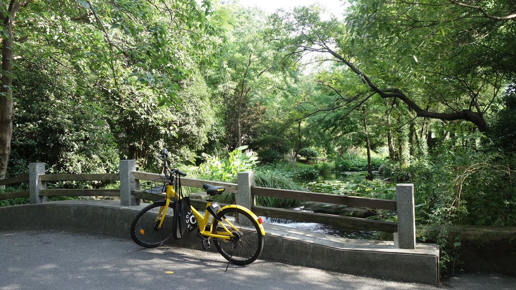 长桥溪水生态修复公园 地址:杭州市西湖区玉皇山路 费用:免费 退房后