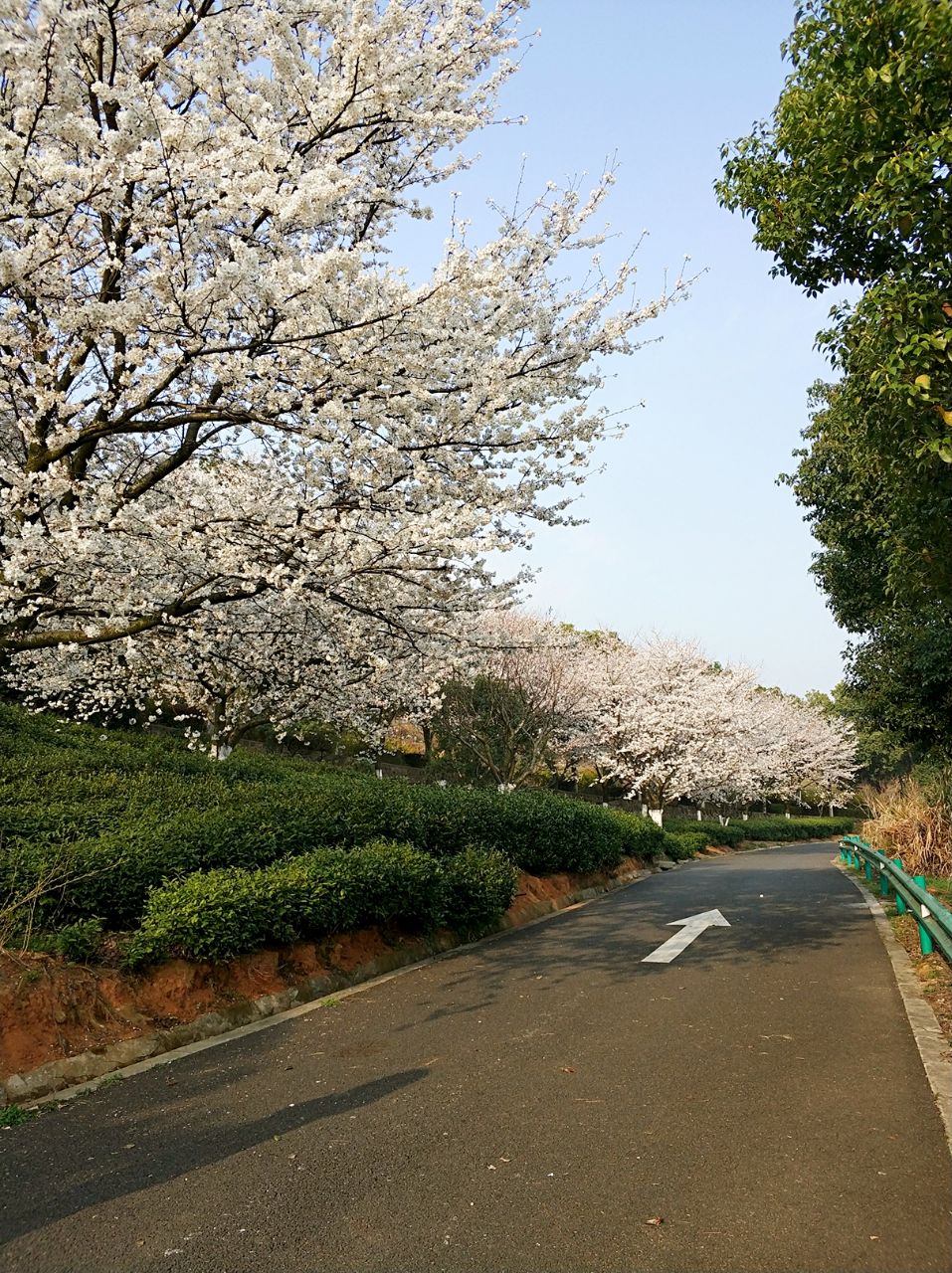 【携程美食林】无锡红沙湾生态园餐馆,无锡市区开过去还是很远的.