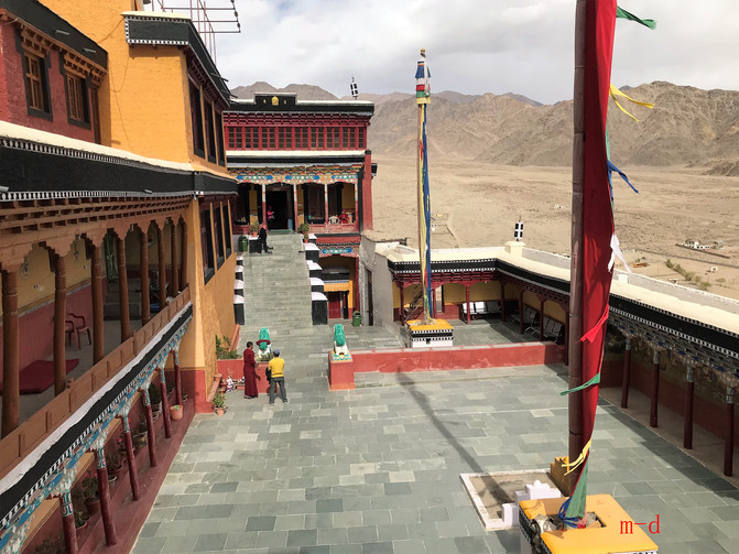 喜马拉雅另一边----噶伦堡,大吉岭,加济兰加到拉达克----印度纪行(1)