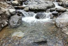 镇巴巴庙人口_汉中镇巴巴庙刘纪清(2)